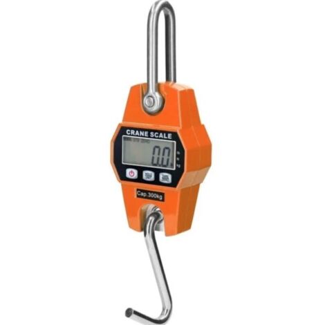 (29x8.5x4.7cm)Balance De Levage Lourde Pour Grue A Crochet, 300 Kg