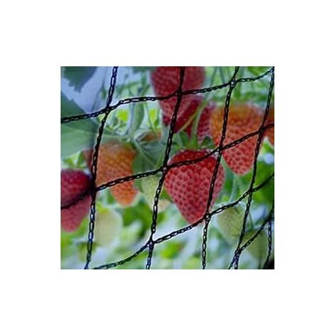 2m x 20m Garden Pond Netting Mesh Bird Proof Fruit and Veg Protection