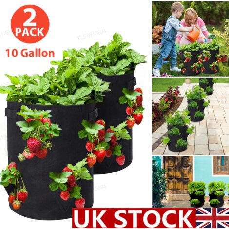 KINGSO 2Pcs 10Gallon Strawberry Fruit Potato Vegetable Bag Planter Garden Plant Bag