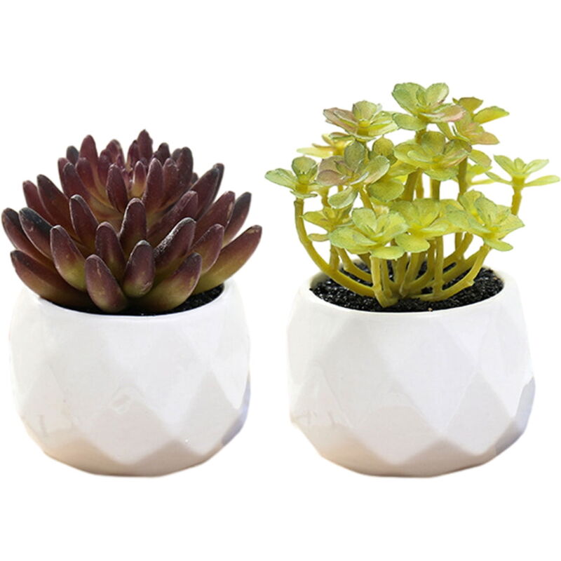 Feiyue - 2pcs grand diamant bonsaï simulation succulente bonsaï fleur artificielle décoration créative plante décoration intérieure - :3
