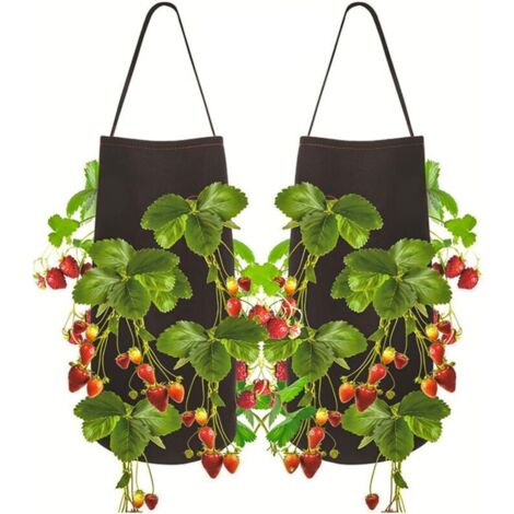 2pcs Sac de Plantation pour Fraise, Sac de Plantation de Pomme de Terre , Sac Potager avec la Fenêtre et la Poignée pour des Fraises, des Tomates, des Légumes