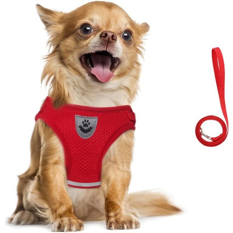 Corde de traction réglable pour harnais pour chien (rouge S)