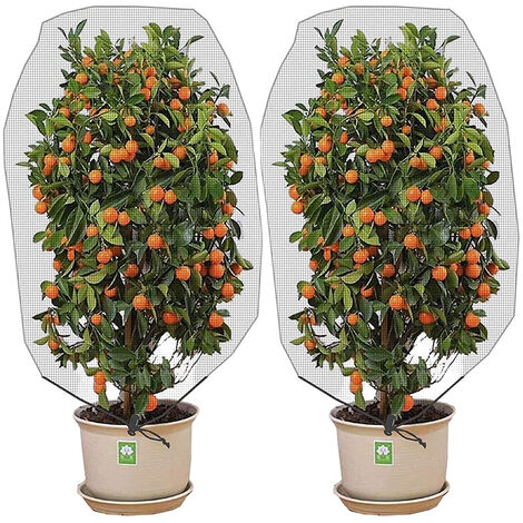 Filet renforcé pour arbres fruitiers - 5x12 m - Vente en ligne au meilleur  prix