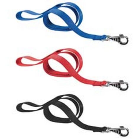 2PZ guinzagli nylon club per cani - cm.2x120 colore rosso g20/120