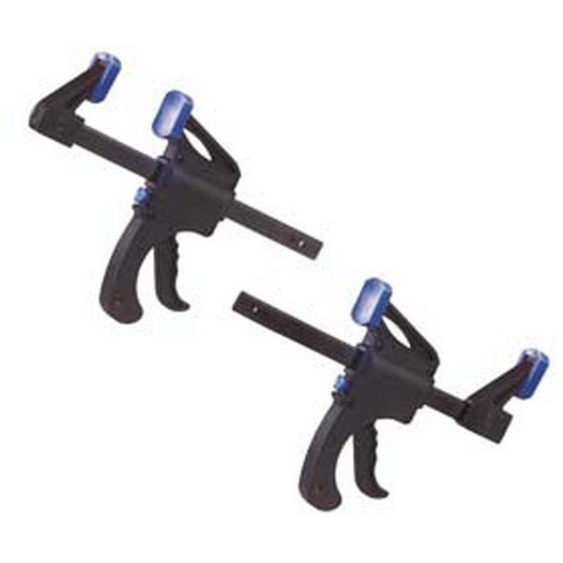 2PZ strettoio autobloccante - apertura MM.300 pg