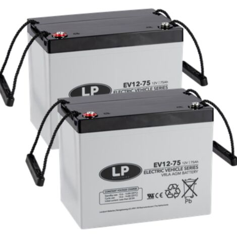 2X AGM 12V 75Ah Blei-Akku - VRLA-EV12-75 zyklenfest kompatibel zu 60Ah 75Ah 77Ah 80Ah MP75-12C REC80-12I 12LC-75Ah