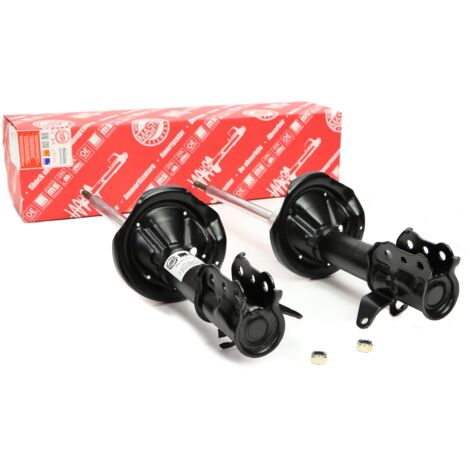 2x AMMORTIZZATORI posteriori sinistro + destro MAZDA PREMACY (CP)