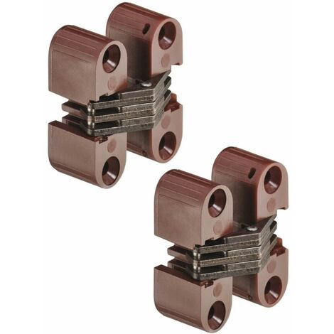 2x Charnière de porte de meuble 180° pour pose invisible 11x33mm pour épaisseur de bois à partir de 16mm Placard Armoire Cuisine Pliante, boîtier marron et articulation galvanisée