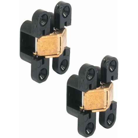2x Charnière de porte de meuble 180° pour pose invisible 8x32mm pour épaisseur de bois à partir de 12mm Placard Armoire Cuisine Pliante, boîtier noir et articulation laiton