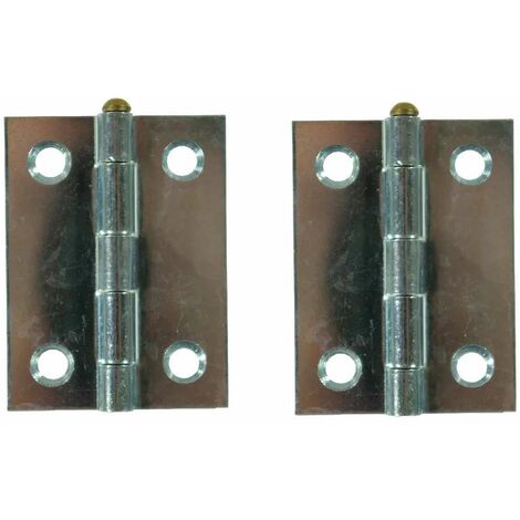 2x charnière plate acier argenté 25x25 avec axe en laiton doré porte portail volet bois meuble à visser