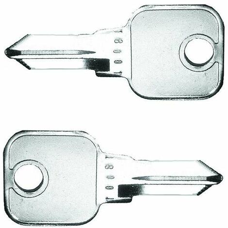 2x Clé plate en acier brut semi-finie LEHMANN pour série 18501 - 19000 profil B Ebauche Serrure Verrou Reproduction Porte Portail Boîte aux lettres Meuble Cylindre Noyau Fraisage