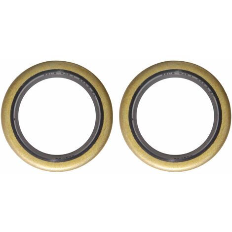 2x joint SPI 25x35x4,5mm référence origine 294 606 compatible avec Briggs & Stratton 7cv 8cv