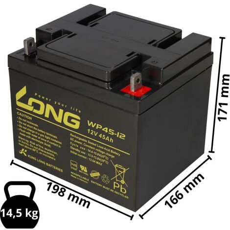 2x Kung Long Akku 12V 45Ah Pb Batterie Bleigel WP45-12 VDS