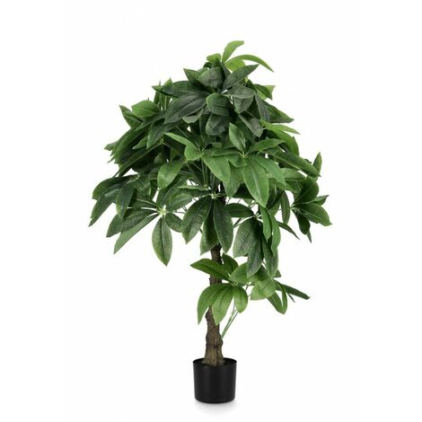 2x Pachira Aquatica Plante C-Pot 280F H120