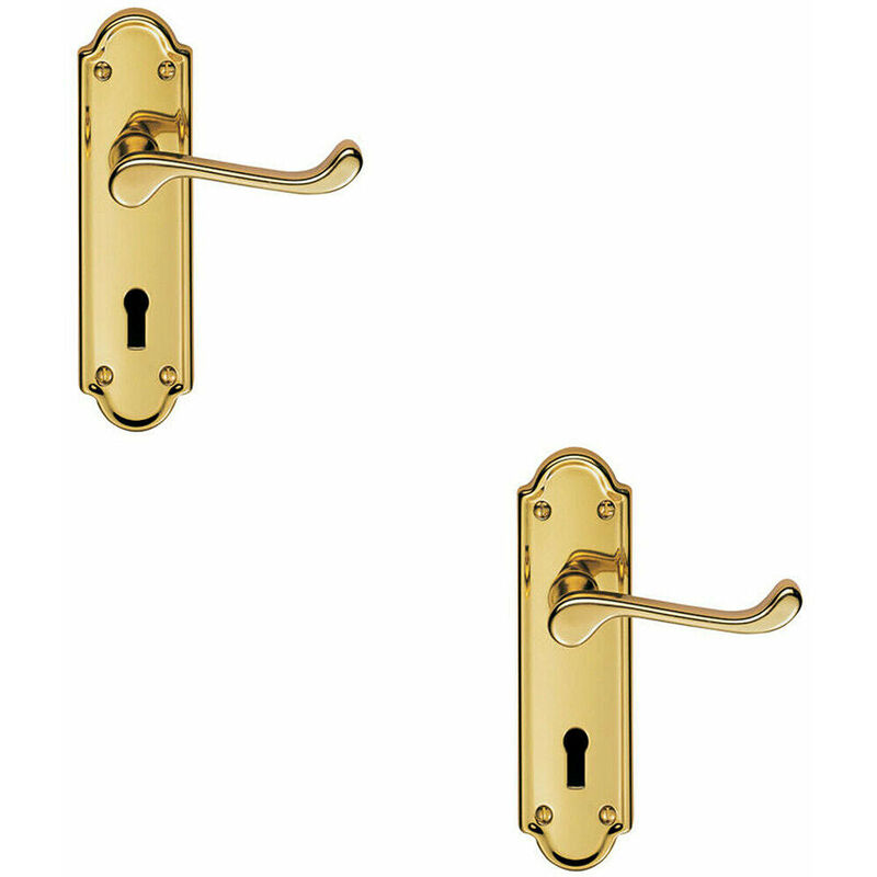 2x pair Victorian Upturned Handle on Lock Backplate 168 x 47mm Stainless Brass