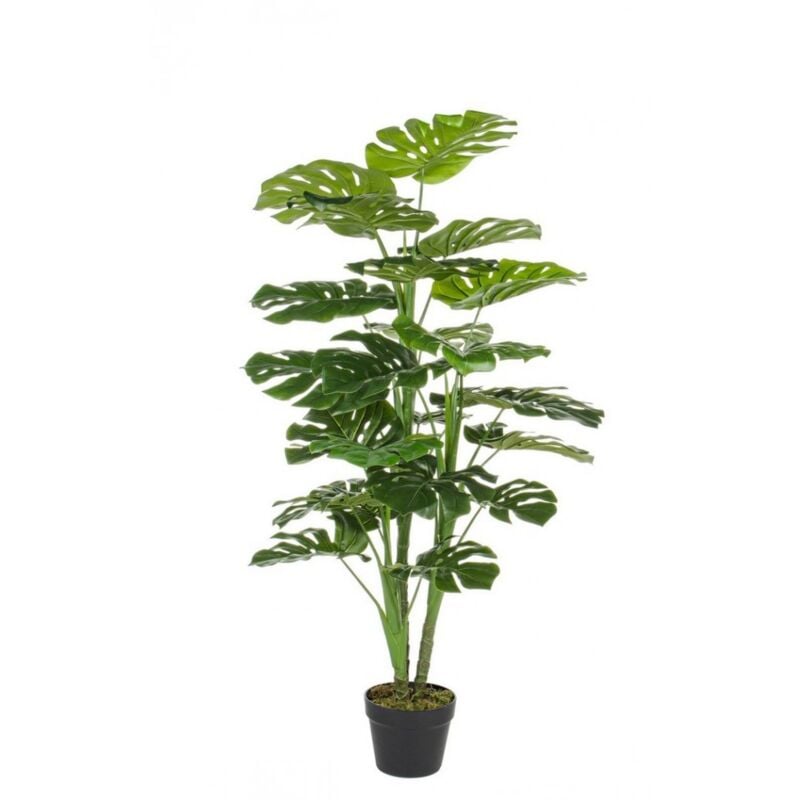 2x Plante de philodendron 60x60x120 cm
