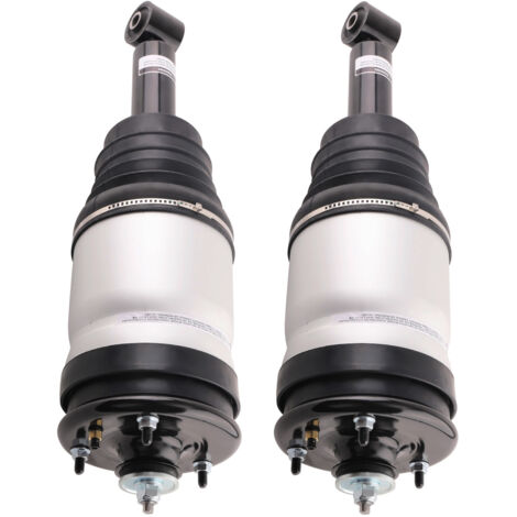 2x Sospensioni Pneumatiche Posteriore SX+DX RPD501100 for Range Rover Sport l320
