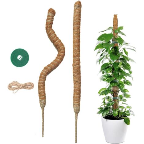2x60cm Tuteur Monstera – Tuteurs Plante Grimpante Coco Flexible – Tuteur Plante avec Corde de Jute et Fermeture Autoagrippante – Convient à la Croissance de la Monstera et d'autres Grimpantes
