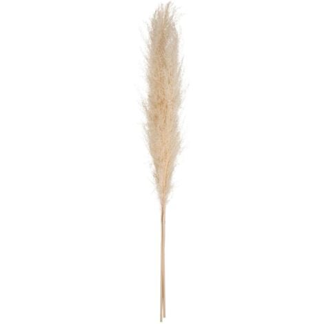 3 fleurs séchées Pampa naturelle H110cm - Atmosphera créateur d'intérieur