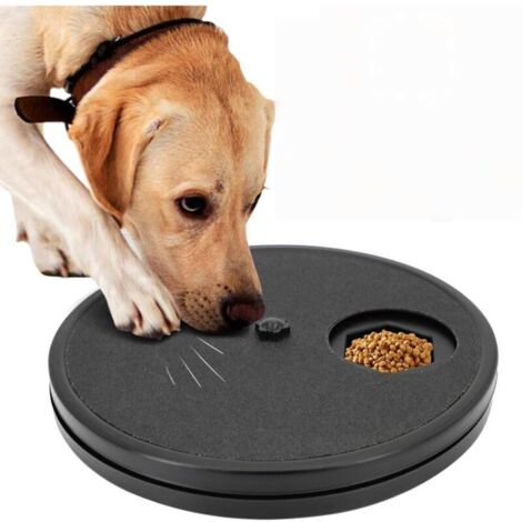 3-in-1 Dog Grooming Board