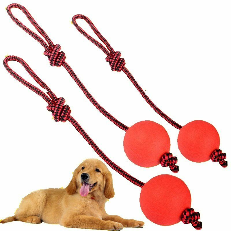 3 pcs Jouets pour Animaux de Compagnie, Jouets pour Chien avec Corde de Balle en Caoutchouc, Jouets à Mâcher pour Chats d'Entraînement.