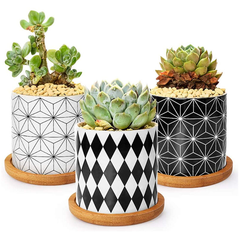 Petites Ecrevisses - 3 Pcs Pot de Fleur Géométrie en Céramique Pot de Succulent 7,5cm Style Moderne avec Plateau en Bambou
