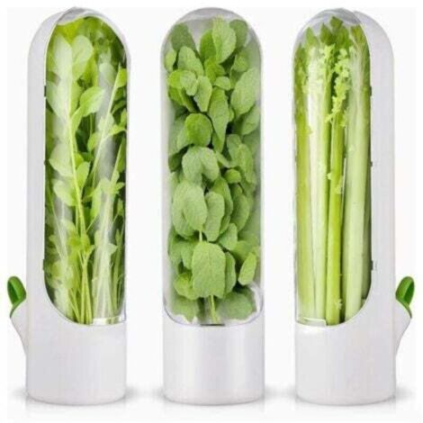 3 pezzi di contenitore per erbe aromatiche per frigorifero, contenitore per erbe aromatiche fresche per frigorifero, contenitore per erbe aromatiche per coriandolo e asparagi