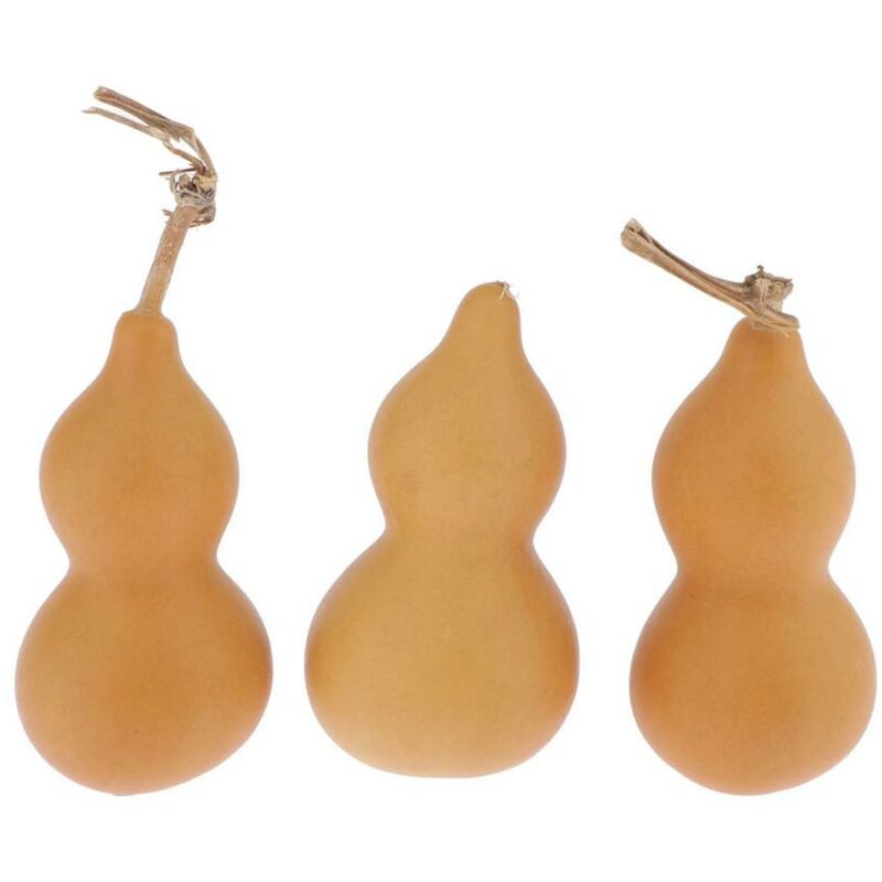 3 pezzi Naturale Zucche Non Verniciato Mestieri di...