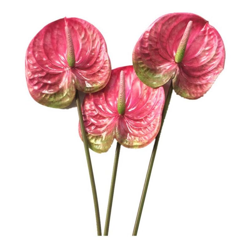 3 PièCes de 22,8 Pouces Artificielle Anthurium Fleurs pour Home Decor Bouquet et Feuille Verte et DéCoration de Mariage de MariéE (Rose)