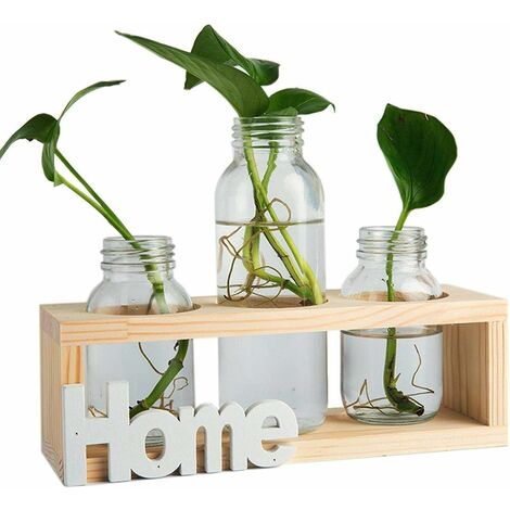 3 pièces de verre vase cylindre, vase en verre de bureau planteur ampoule avec support en bois massif rétro pour plantes hydroponiques