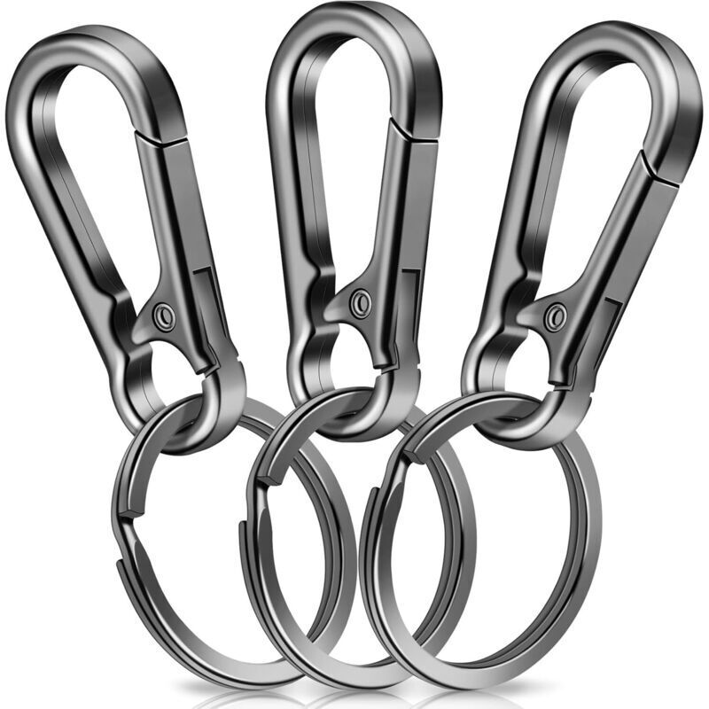 3 Pièces Mousqueton Porte Clé Porte Clef Mousquetons en Métal Porte-Clés Homme pour Accrocher dans Le Sac à Dos, Clés de Voiture