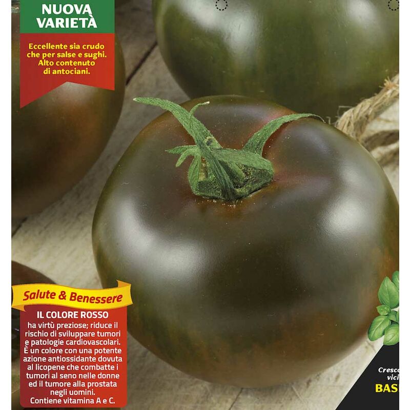 Ortomio - 3 plants en pot Ø10CM de tomate noire kakao de crimée
