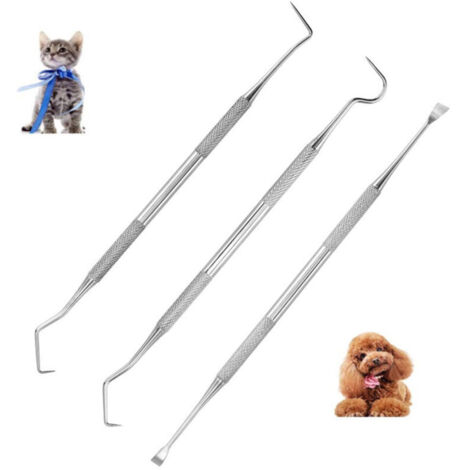 3-teiliges Zahninstrumentenset aus Edelstahl: Zahnrechner, Tierzahninstrument, Selbstsonde
