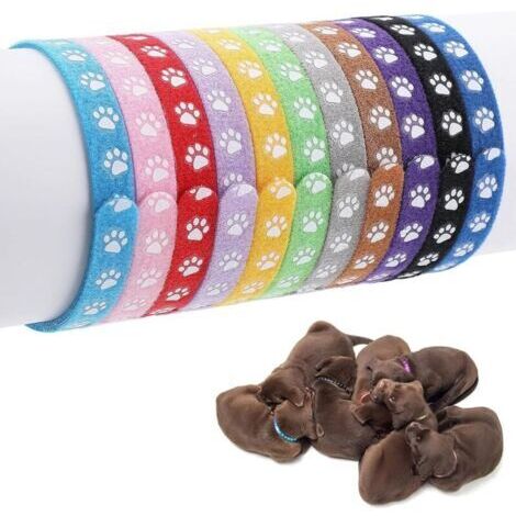 30 cm，Molain Colliers pour Chiots, Colliers de Mise Bas pour Petits Chiots, bagues d'identification pour Chats Chiens, Colliers d'identification pour Chiots, Colliers pour Nouveau-né pour Chatons