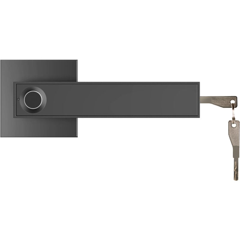 Lifcausal - 30 groupes de serrures de porte à empreintes digitales, serrures de porte intelligentes, serrures à levier de porte ouverte