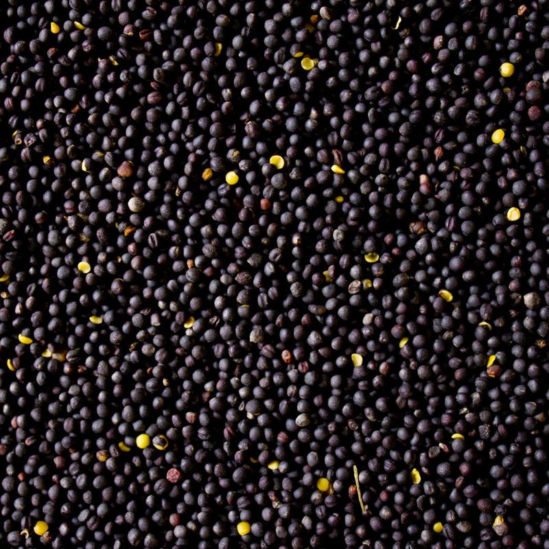 30 kg Graines de Colza en Vrac Noir Purifié Oreiller Chauffant Production d'huile dml