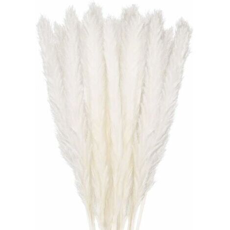 30 pcs Herbe de la Pampa, 45 cm Naturel Pampa Fleur Bouquet de Fleurs Sechees pour Vases, Blanc Boho Decoration Chambre Maison Salon, Mariage Photographier Table Décoration