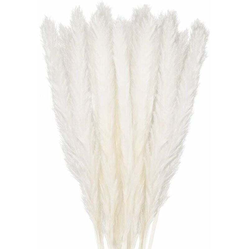 30 pcs Herbe de la Pampa, 58 cm Naturel Pampa Fleur Bouquet de Fleurs Sechees pour Vases, Blanc Boho Decoration Chambre Maison Salon, Mariage
