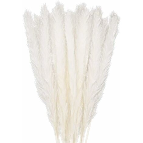 30 pcs Herbe de la Pampa, 58 cm Naturel Pampa Fleur Bouquet de Fleurs Sechees pour Vases, Blanc Boho Decoration Chambre Maison Salon, Mariage Photographier Table Décoration LITZEE