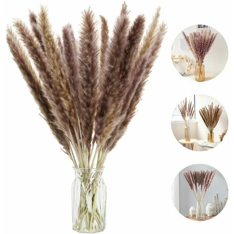30 Pcs Natural Dried Small Pampas Grass, Phragmites Communis,Wedding and Photographing Flower Bunch for Home Decor (White, 30pcs)
