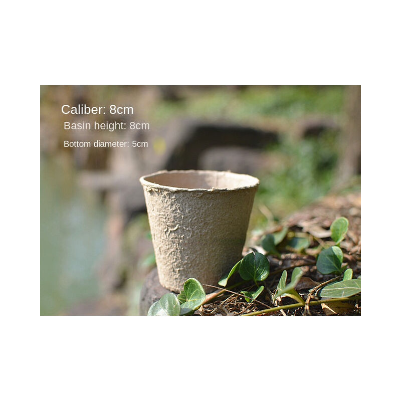 30 Pcs Pulp Nursery Basin allevamento vaso di