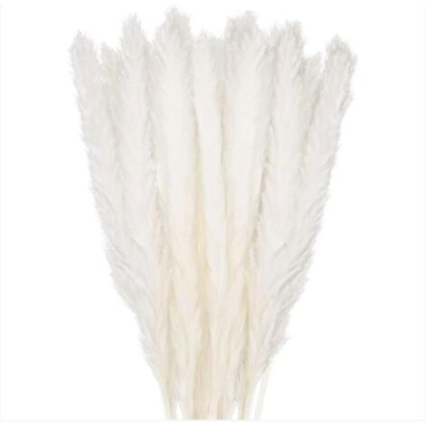 30 piezas de hierba de la pampa, ramo de flores secas naturales de 58 cm para jarrones, decoración bohemia blanca para dormitorio, hogar, sala de estar, boda, fotografía, decoración de mesa