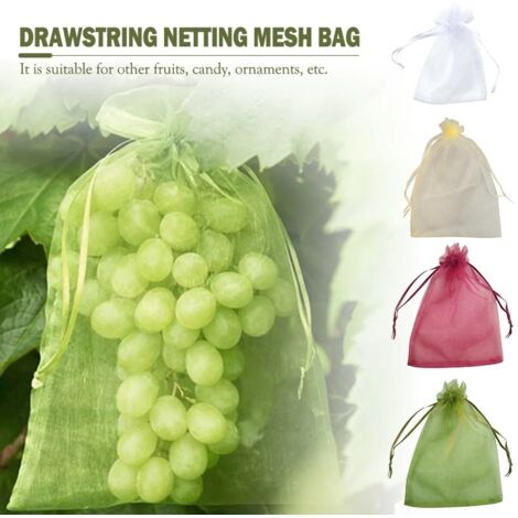30 x 20 cm 100 pièces Sac Protection Fruits Sacs Filets Protection des Grappes de Raisins Contre Les Oiseaux et Insectes Guêpes Frelons (Vert Mousse)  Google