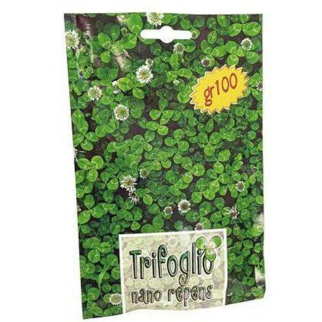 3,0 x SEME PRATO TRIFOGLIO REPENS NANO