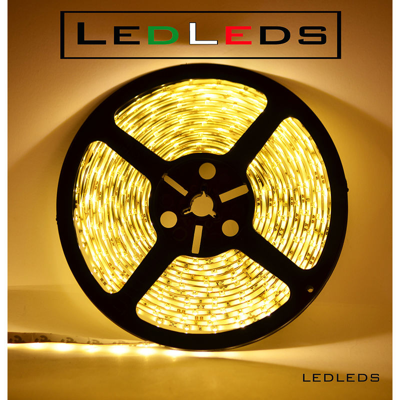 Image of Led Leds - 300 led 3528 strip striscia 5 m 12V bianco luce calda impermeabile ip65 acquario