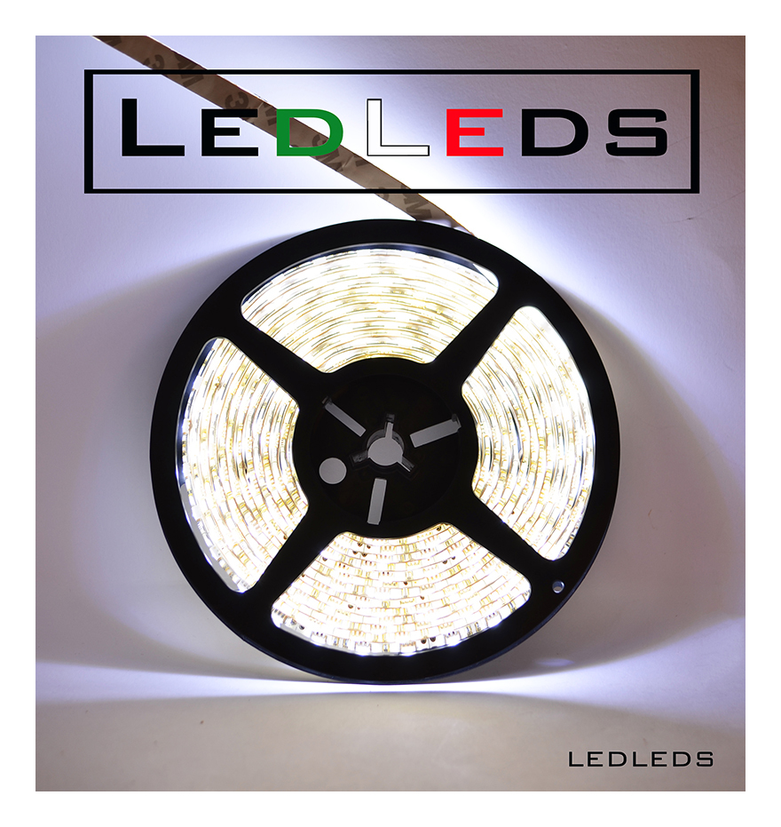 Image of Led Leds - 300 led 3528 strip striscia 5m 12V bianco acquario luce fedda impermeabile metri