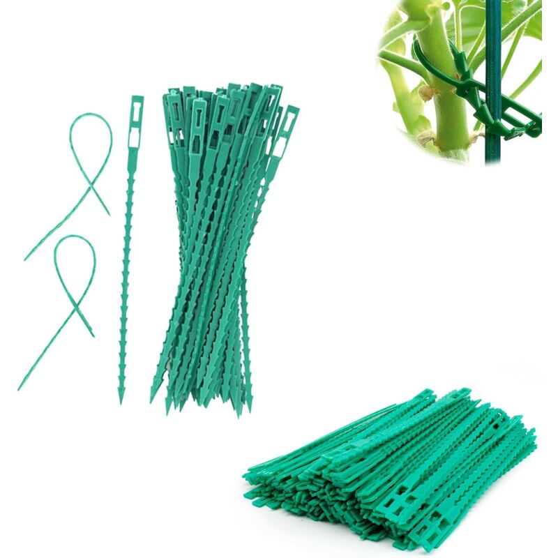 300 Pièces Lien pour Attacher Tomates, Attache Plante Forme Arête Poisson, Taille Réglable Attache Tomate, pour Soutenir Plantes Fleurs, Vert