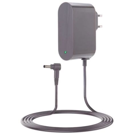 30,45V Chargeur pour Dyson Cyclone V10 V11 V12 V15 - (Compatible avec SV12 SV14 SV22 SV20 Detect Animal Absolute Avec indicateur