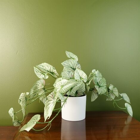 30cm Artificial Trailing Plant Realistic Variegated Potted Alocasia