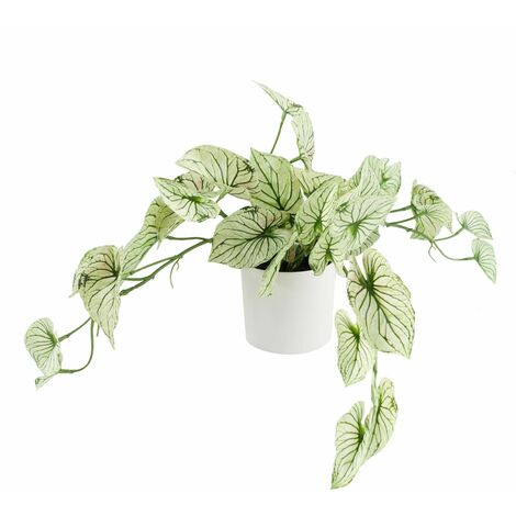 30cm Artificial Trailing Plant Variegated Potted Alocasia